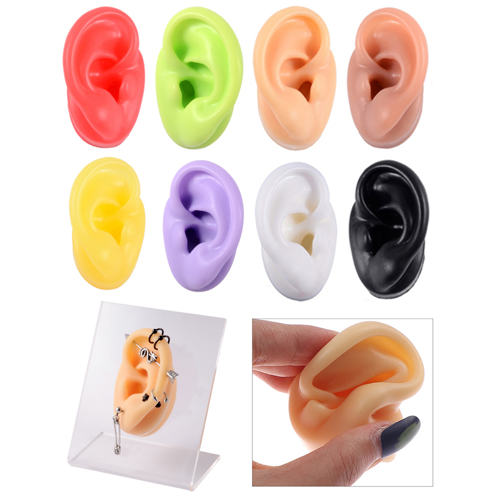 Model Kit Display Case - 1 PC ซิลิโคนหูรุ่น TATTOO Practice เครื่องประดับเจาะเครื่องมือต่างหูเครื่องมืออะคริลิคขาตั้งจอแสดงผลชุด