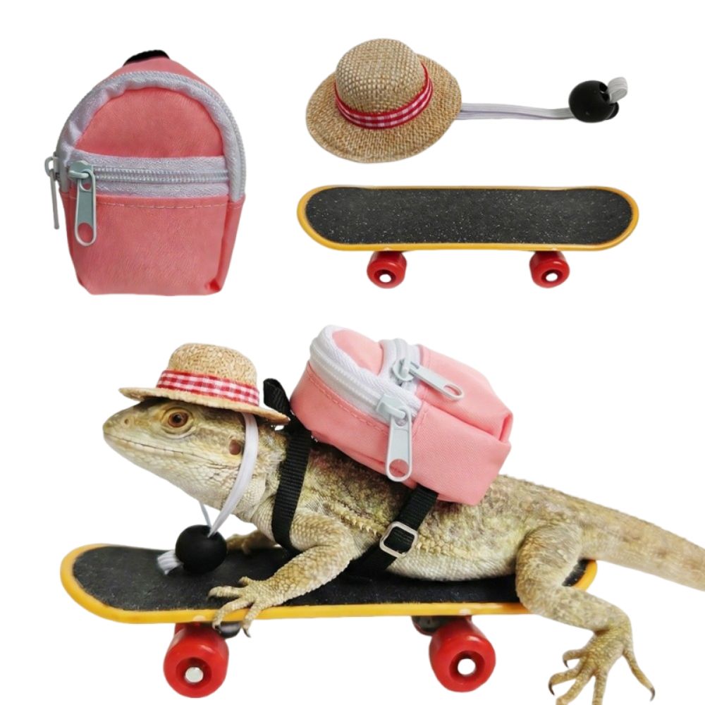 ชุดของเล่นสเก็ตบอร์ดสัตว์เลี้ย - Model Kit Lizard บทวิจารณ์และราคา
